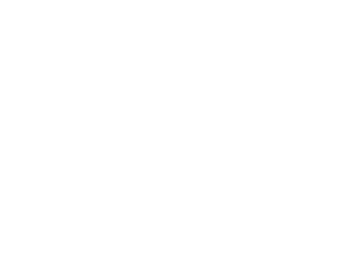 New Horizon Holdings